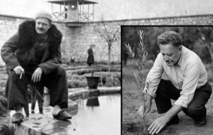 “Bir ağacın kendisi değil mânâsı olmak”