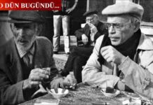 Kül Sokağı’ndaki çam ağacına…