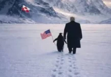 Beyaz Saray’dan Grönland bayraklı “Pengueni kucakla” paylaşımı: Kuzey Yarımküre’de penguen yok