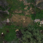 Osman Gazi’nin evi bulundu