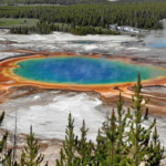 Depremler mikrobiyal patlamaya neden oluyor…