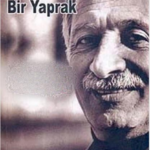 Savcı Doğan Öz Kürt meselesinde hassastı