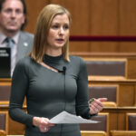 Macaristan: Çoğulculuk mu, yeni bir lider kültü mü?