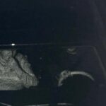 Gülistan Doku soruşturmasında Kırmızı Bülten adımı