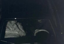 Gülistan Doku soruşturmasında Kırmızı Bülten adımı