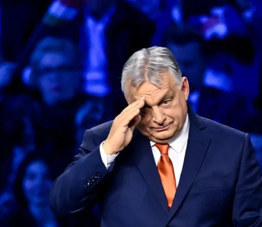 Macaristan seçimleri: Anketler ne gösteriyor, Orban dönemi sona mı erdi?
