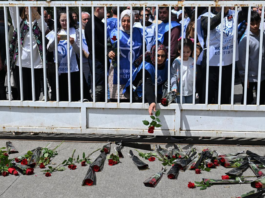 Katliamlar ne kötü be birader