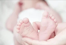 Zeynep’in tahtını Alya sarstı