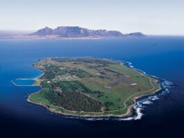 Mandela’nın dört hali…