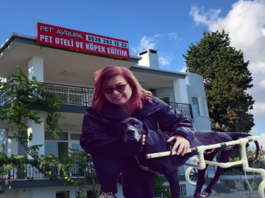 “Belediyede tanıdıklarım var” deyip köpek otelini şikâyet etti, kulübelere imar istendi: 30 köpek tekrar sokağa dönebilir