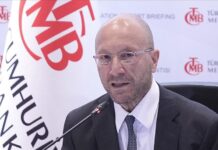 Merkez Bankası Başkan Yardımcısı Cevdet Akçay daha iki yıl süresi varken emekli edildi