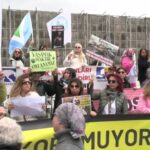 Tepkiler sonuç verdi. Kurul köpeklere ötenaziyi gündeminden çıkardı