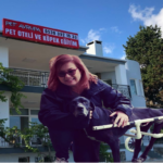 “Belediyede tanıdıklarım var” deyip köpek otelini şikâyet etti, köpek kulübelerine imar istendi: 30 kurtarılmış köpek tekrar sokağa dönebilir