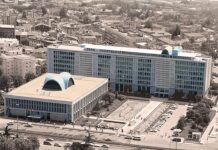 İBB’ye yeni operasyon: Ağaç ve Peyzaj A.Ş.yle ilgili 29 kişi gözaltında