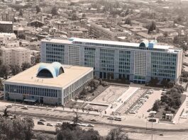 İBB’ye yeni operasyon: Ağaç ve Peyzaj A.Ş.yle ilgili 29 kişi gözaltında
