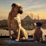 Isırmadan konuşabilir miyiz?