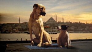 Isırmadan konuşabilir miyiz?