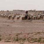 NYT: Irak çölündeki ikinci gizli İsrail üssünü fark eden çoban helikopterle öldürüldü