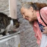 Evlat acısından 40 gün sonra: Panter Emel hayata veda etti