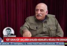 Kandil’den Milli Takım analizi: En yetkin oyunculardı, yazık oldu