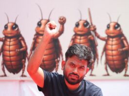 Ya bütün hamamböcekleri bir olursa?