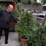 Rize’de Melek ve Sinan Oğur çiftinin botanik bahçesi gibi balkonu görenleri hayran bırakıyor