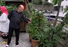 Rize’de Melek ve Sinan Oğur çiftinin botanik bahçesi gibi balkonu görenleri hayran bırakıyor