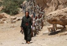 “Silah bırakacağım” diyen örgüte, “hayır, bırakamazsın” demek….
