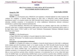 Çerçeve yasa Resmi Gazete’de yayınlandı. Kurul, 24 Ağustos’ta toplanıyor