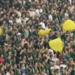 Kocaelispor-Amedspor maçında ‘sarı torba’ açanlara gözaltı