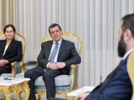 SDG’nin feshi öncesi mutabakat: Abdi danışman, Kürtçe’ye resmi statü, Abdi ve Ahmet İmralı’ya gelecek