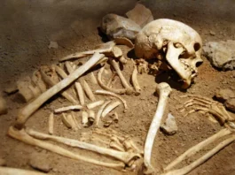 400 yıllık “vampir” mezarının sırrı çözülüyor. Boğazında orak, ayağında kilit