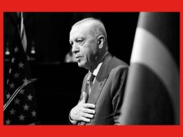 Erdoğan Newsweek’e konuştu: Türkiye’nin İsrail halkıyla husumeti yoktur. Türkiye’yi tehdit olarak gösteren söylem seçimle bağlantılı