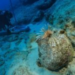 Dünyanın en eski batığı Kekova’da: 4.700 yıllık amforalar bulundu