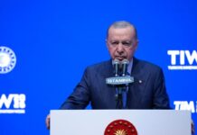 Erdoğan “Sorunu kontrol altına aldık” dedi