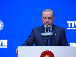 Erdoğan “Sorunu kontrol altına aldık” dedi