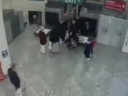 Yasa dışı üreme hücresi ticaretine operasyon. 41 kadın 811 kez yumurta satışı yapmış