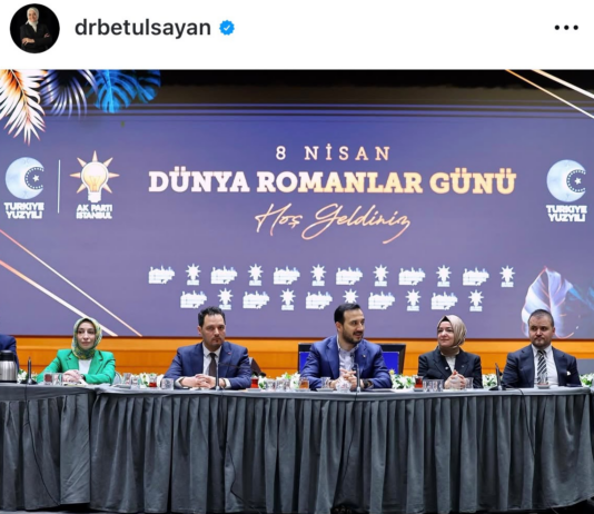 Altı ay önceki Dünya Romanlar Günü’nden bir karenin anlattıkları…